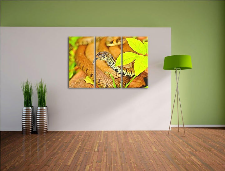 beeindruckende Schlange NewArt 3-Teiler Leinwandbild 120x80 Bild auf Leinwand, XXL riesige Bilder fe