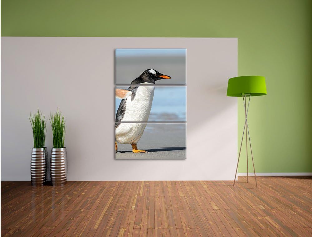 Pinguin am Strand 3-Teiler Leinwandbild 120x80 Bild auf Leinwand
