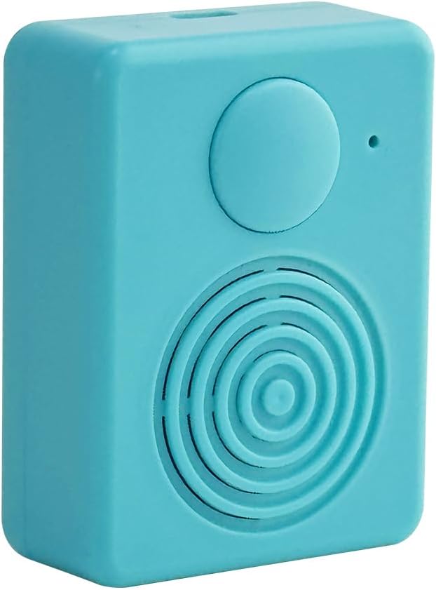 Soundmodul mit Lautsprecher,16 MB Diktiergerät, Unterstützt Bluetooth und Mikrofonaufnahmen,16 Minut