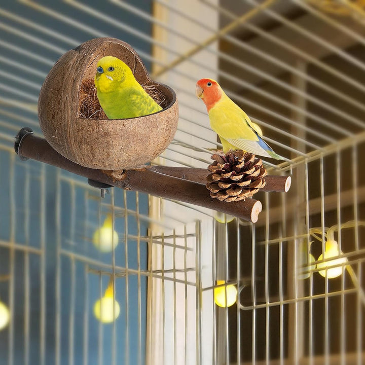 Vogelnest Aus Natürlichem Kokosnuss Muschel | Kokos Gehäuse Vogel Nest Mit Zweigen Und Kokosraspeln