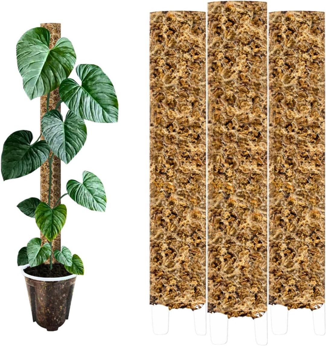 Nils der Pflanzenfreund® Moosstab [PlantScraper] 40 cm (L) / 10 Stück/Matt | Pflanzenstab | Moss Pol