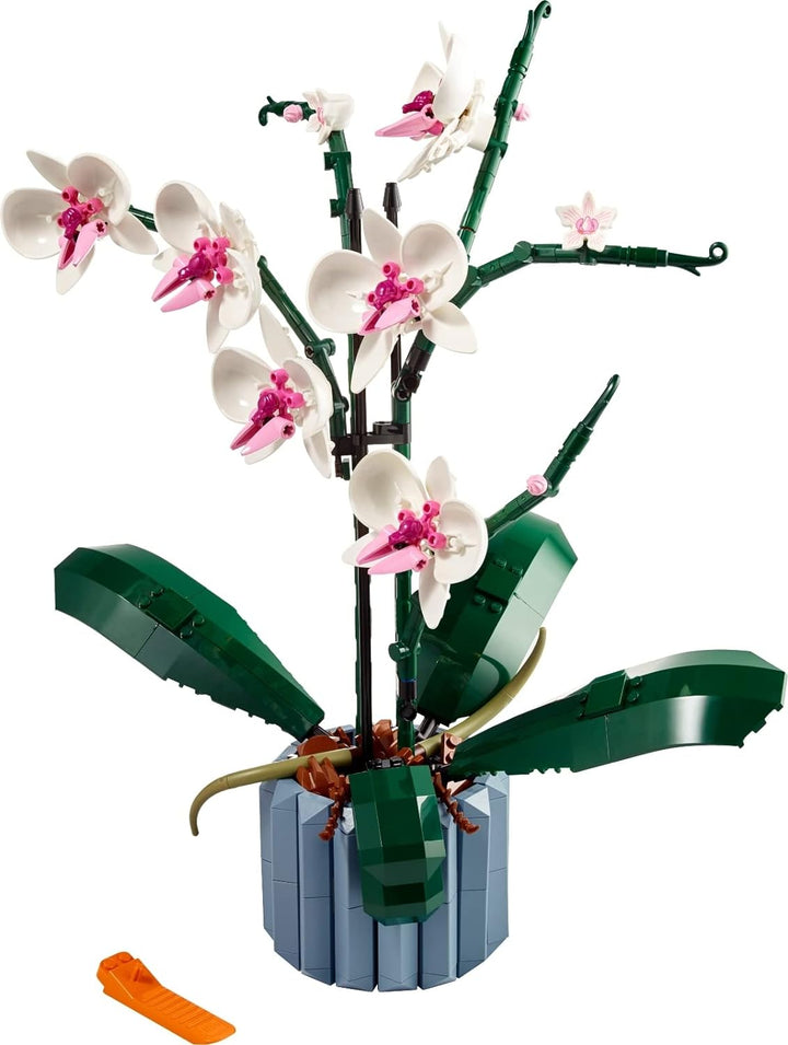 BRICKCOMPLETE Lego 2er Set: 10311 Orchidee & 10281 Bonsai Baum
