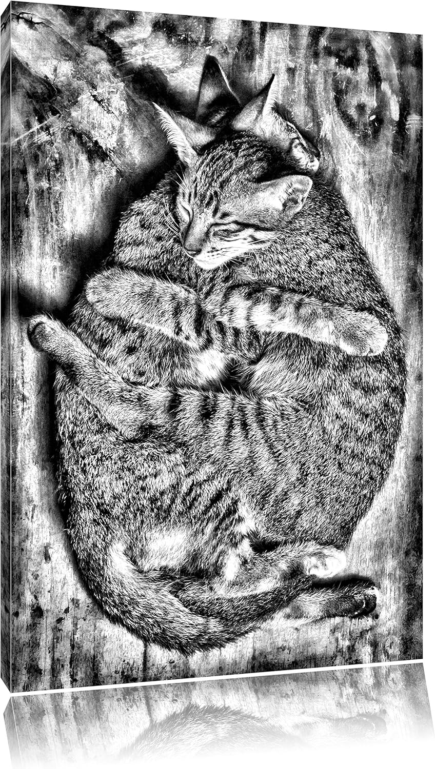 Pixxprint Monocrome, Kuschelnde Katzen, Format: 100x70 auf Leinwand, riesige Bilder fertig gerahmt m