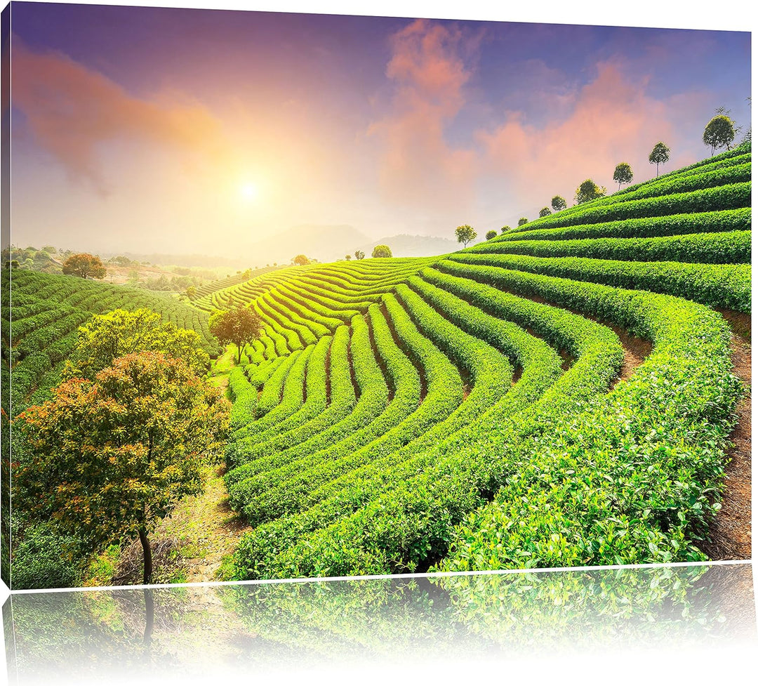 Japanische Treppenfelder, Format: 100x70 auf Leinwand, XXL riesige Bilder fertig gerahmt mit Keilrah