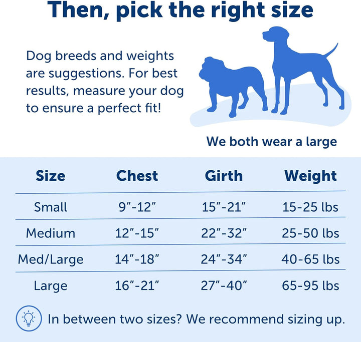 PetSafe Deluxe Easy Walk Hundegeschirr apfelgrün Medium, apfelgrün Medium