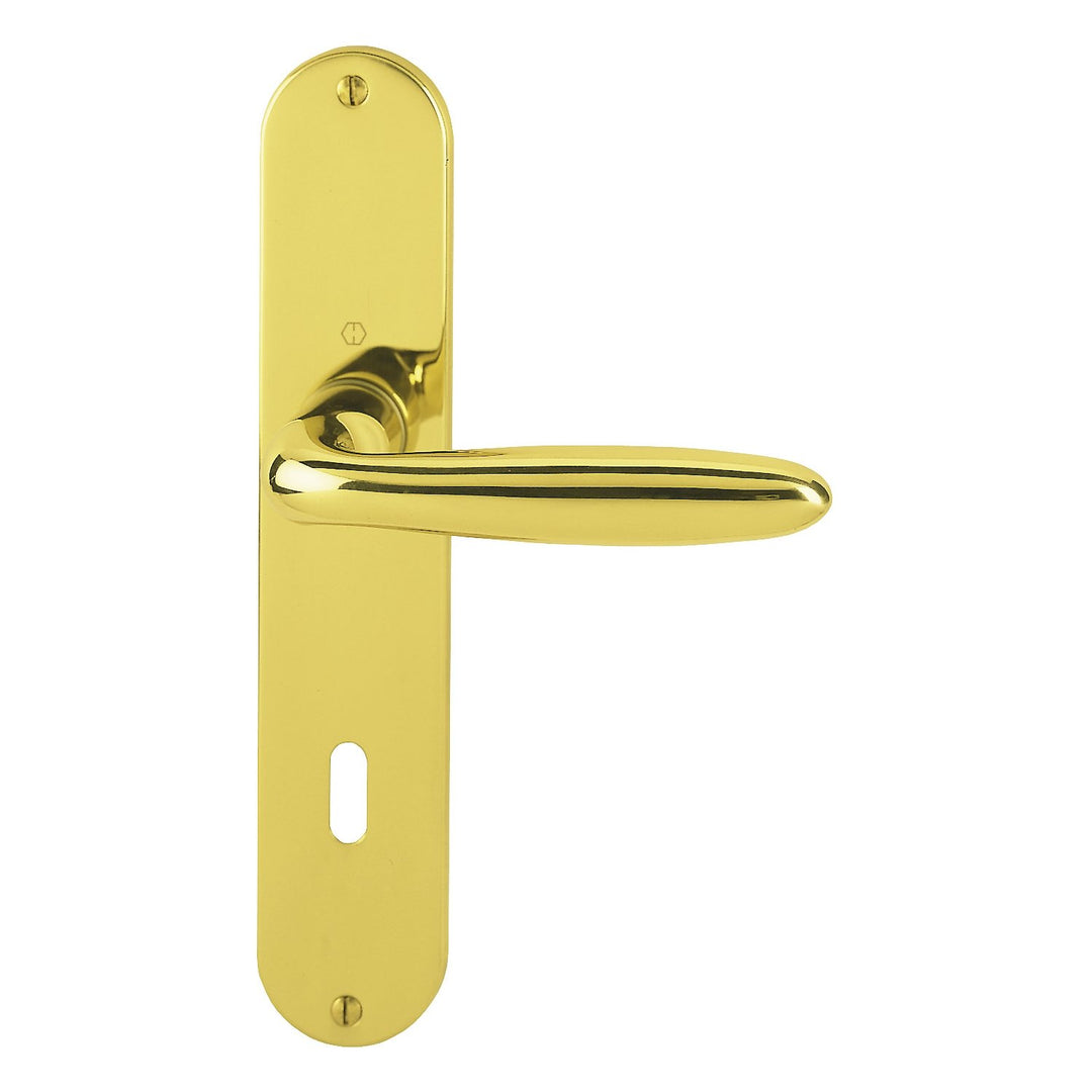 HOPPE Türgriff (Langschild) duraplus Verona, Messing pol. für innen, Türgriff-Garnitur, Oval-Lochung