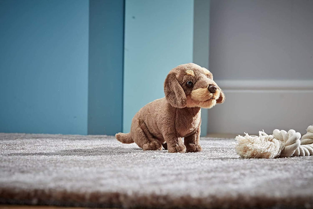 Living Nature AN484 Plüschspielzeug für Hunde und Welpen, Spaniels, schwarz/braun, Bundle Dackel Bun