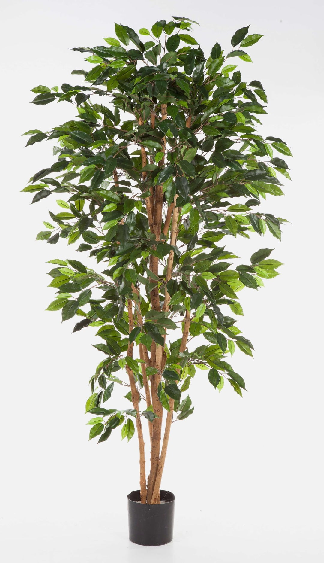artplants.de Kunst Ficus Avellino, 720 grüne Blätter, 150cm - Kunst Baum - Deko Ficus 150 cm, 150 cm