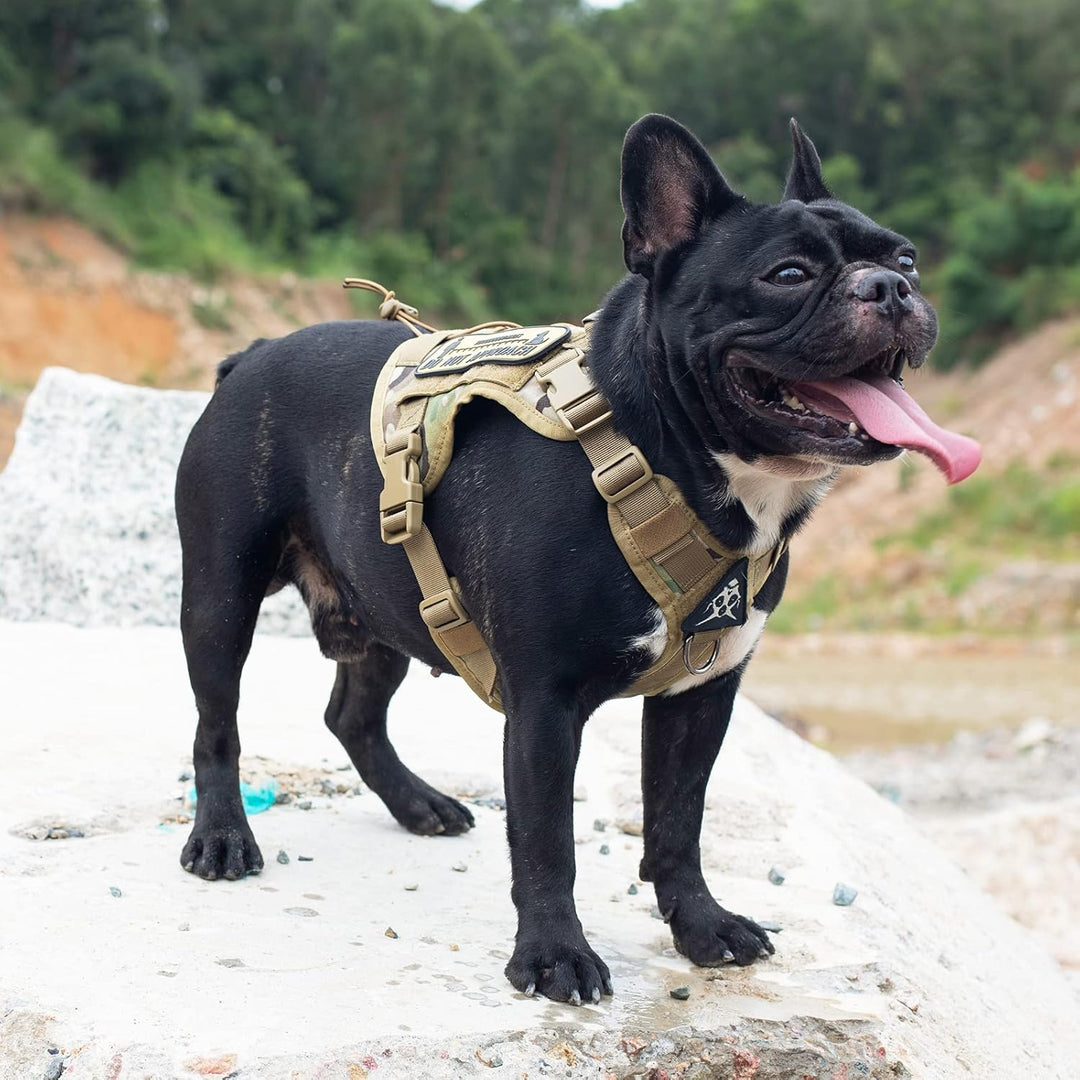 OneTigris Hundegeschirr, FIRE WATCHER Taktische Geschirr Sicherheitsgeschirr Hunde Hundeweste mit 1