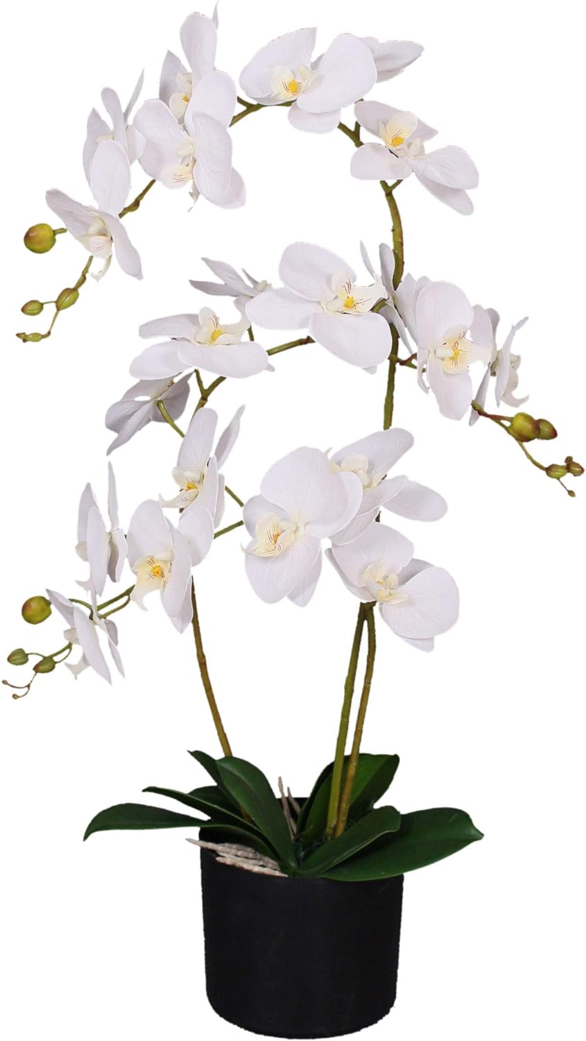 Leaf Kunstpflanze Orchidee, Blätter, 60 cm, gross, Weiss, 60cm Large White, LEAF-7040 60cm Large Whi