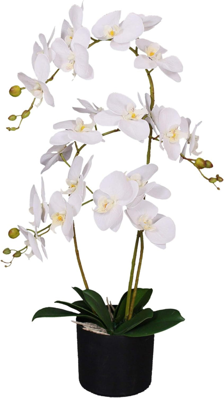 Leaf Kunstpflanze Orchidee, Blätter, 60 cm, gross, Weiss, 60cm Large White, LEAF-7040 60cm Large Whi