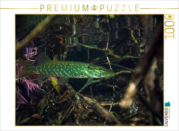 CALVENDO Puzzle Hecht im Forellensee, Nordhausen 1000 Teile Lege-Grösse 64 x 48 cm Foto-Puzzle Bild
