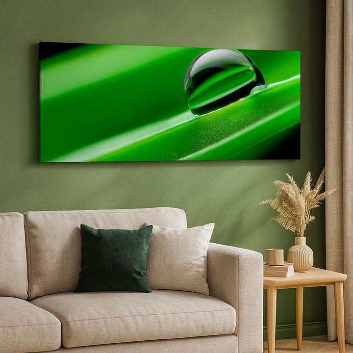 Wandbilder Dekoration Wohnzimmer Pflanze Tropfen Wasser Blase Panorama Bilder auf Leinwand 120x50cm