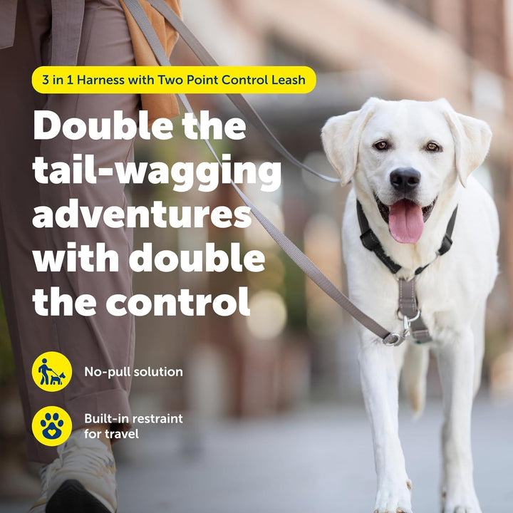 PetSafe 3 in 1 Geschirr mit Zwei-Punkt-Steuerleine – No-Pull Harness – Medium – Schwarz – verstellba