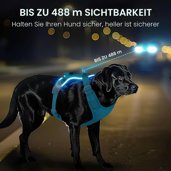 MASBRILL Hundegeschirr Leuchtend, LED Hundegeschirr Aufladbar &amp; Einstellbar für Welpen Kleiner Mittl