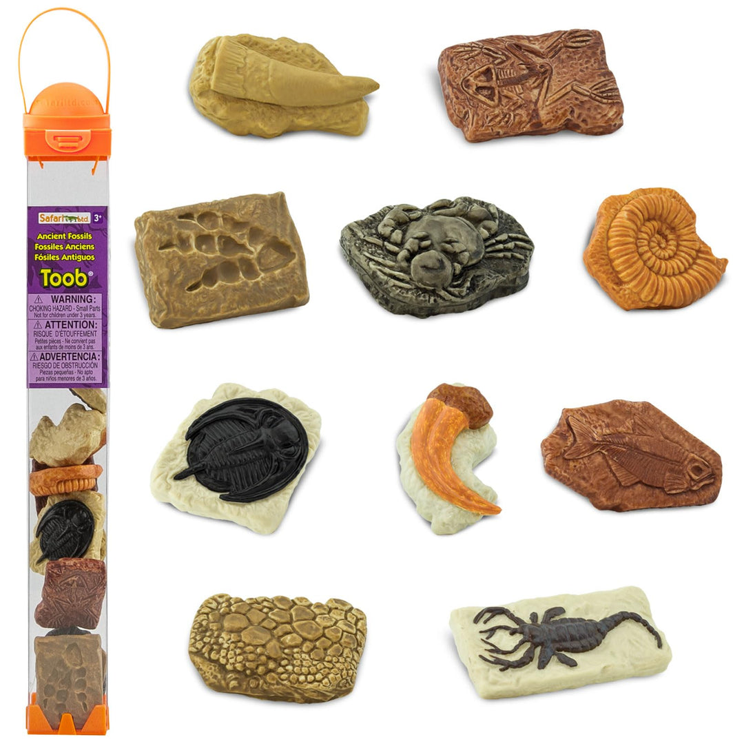 Safari Ltd. antike Fossilien TOOB - Figuren: Dinosaurier-Fussabdruck, Riesenkrabbe, Ammonit, Raptor-