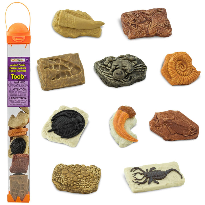 Safari Ltd. antike Fossilien TOOB - Figuren: Dinosaurier-Fussabdruck, Riesenkrabbe, Ammonit, Raptor-