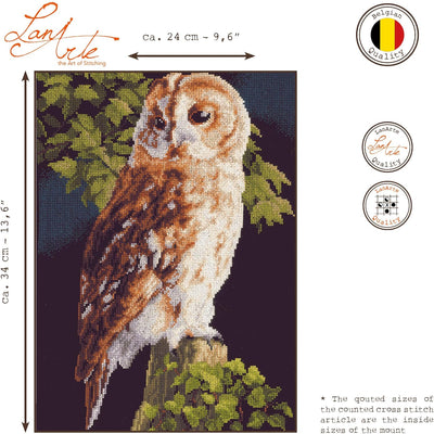 Lanarte Zählmusterpackung Eule Kreuzstichpackung, Baumwolle, Mehrfarbig, 24 x 34 x 0.3 cm, Eule
