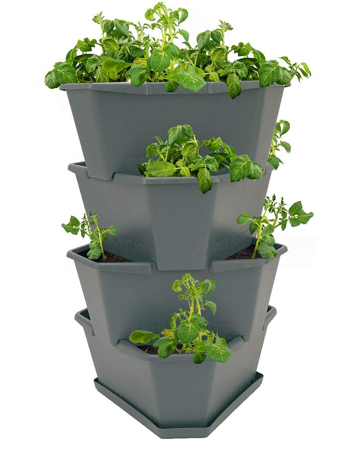 PAUL POTATO Starter Kartoffelturm - 4 Etagen von Gusta Garden - anthrazit/grau - stapelbar - Hochbee
