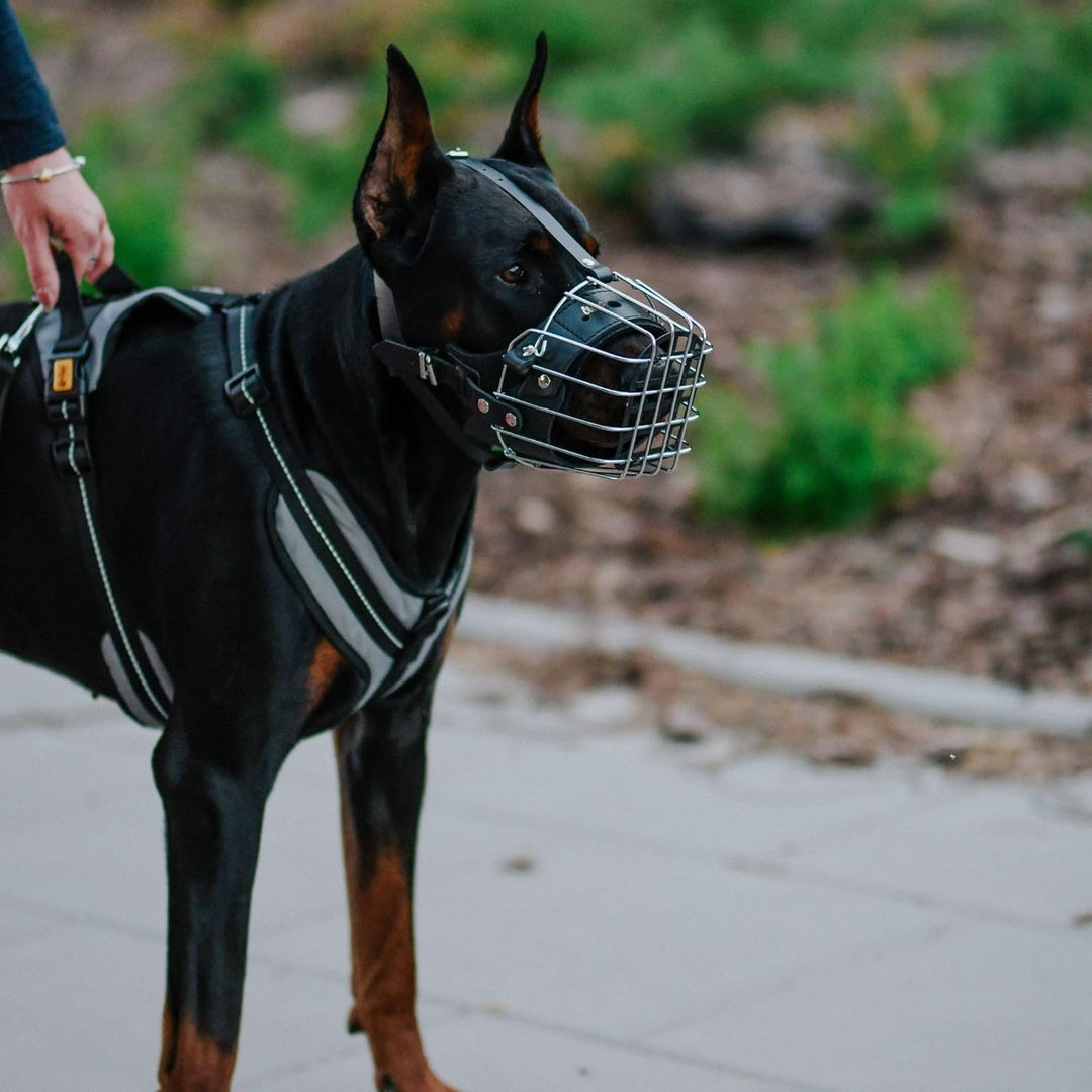Dingo Mettal Maulkorb mit Kunststoffgitter Nr.7a Drahtmaulkorb für Hundetraining Handarbeit leicht K