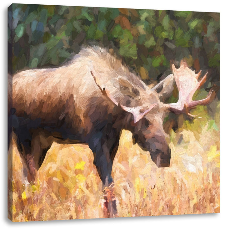 prächtiger Elch auf Wiese, Format: 70x70 auf Leinwand, XXL riesige Bilder fertig gerahmt mit Keilrah
