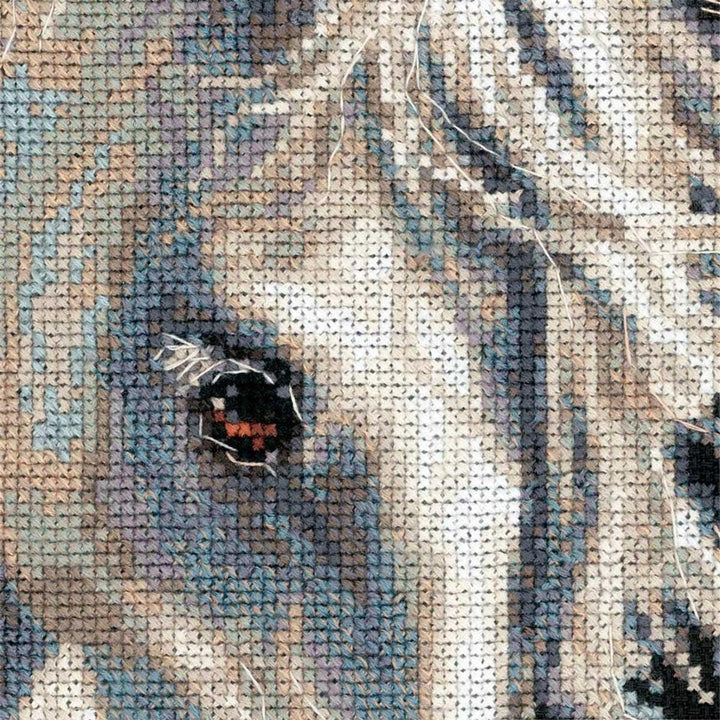 Riolis Kreuzstich-Set Andalusische Charakter Gezählt Set, Schwarz