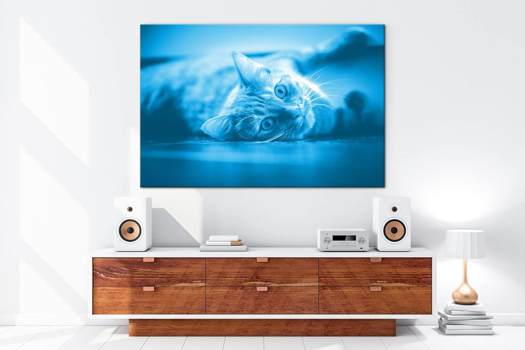 deyoli süsse verspielte Katze Format 80x60 Effekt: Monocrome Blau als Leinwandbild, Motiv fertig ger