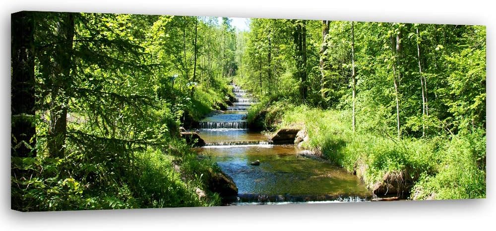 Feeby Leinwandbild Wald Bild Kunstdruck Landschaft Grün 150x50 cm Leinwandbild 150x50 cm Grün_c, Lei