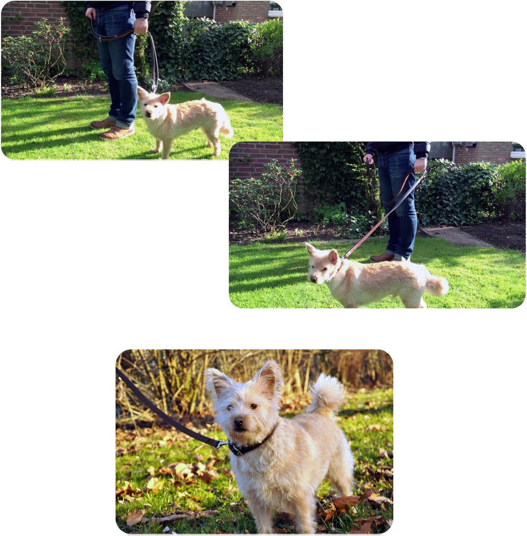 Hundeleine aus Leder - Trainingsleine - Lederleine für den Hund - Leine 3-Fach verstellbar, für alle