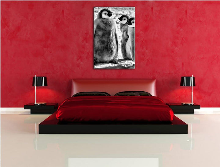 Pixxprint DREI Kaiserpinguin-Küken/Format: 100x70cm / Leinwandbild fertig bespannt Wandbild Kunstdru