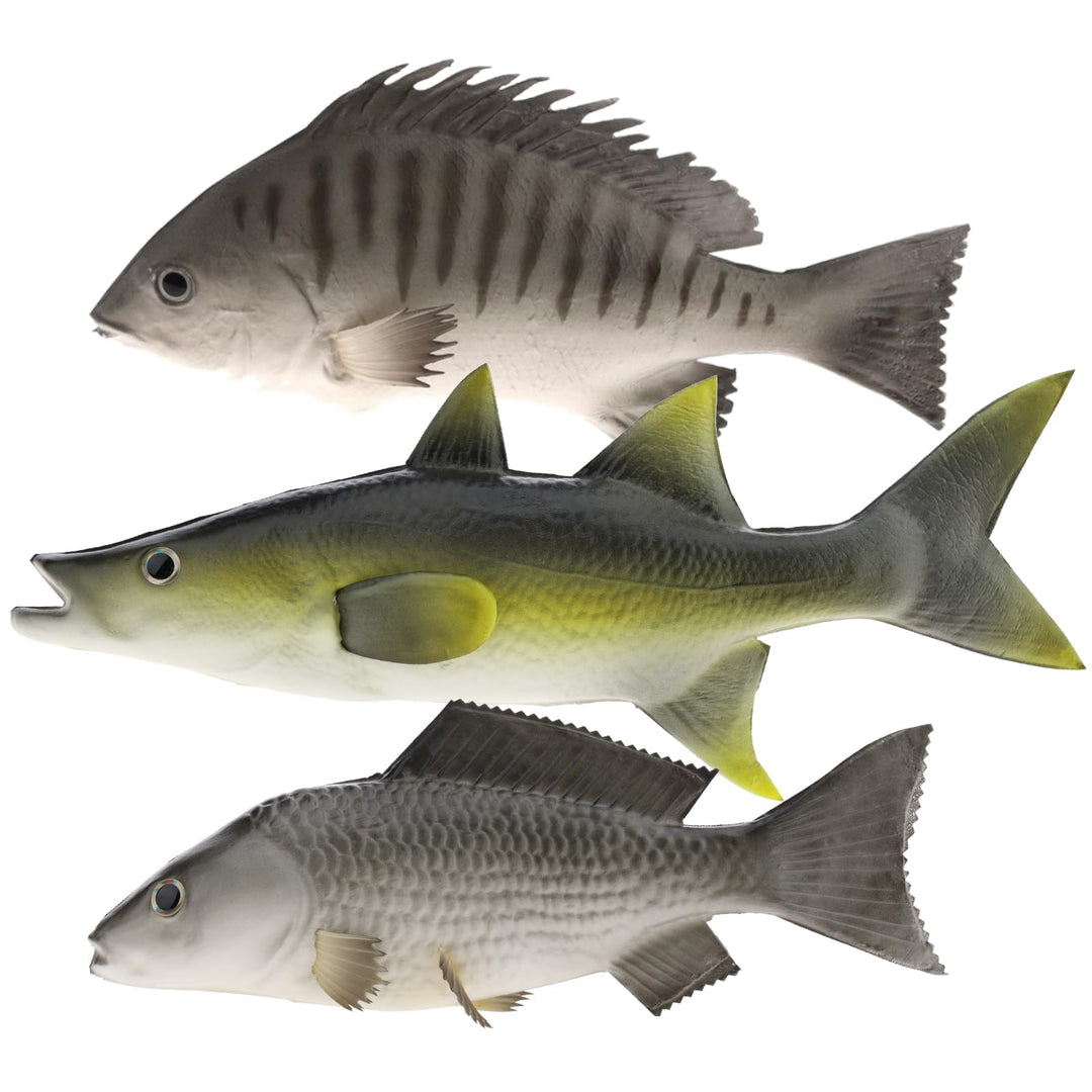 Gresorth 3 Stück Fälschung Fisch vorgeben Künstlich Karpfen Lebensecht Ornament Hängend zum Zuhause
