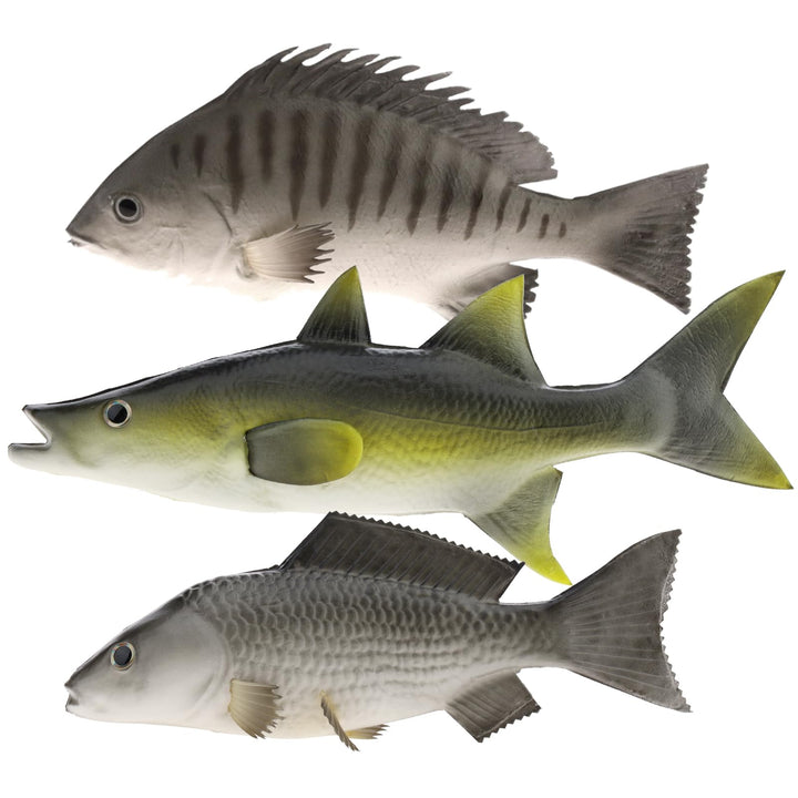 Gresorth 3 Stück Fälschung Fisch vorgeben Künstlich Karpfen Lebensecht Ornament Hängend zum Zuhause