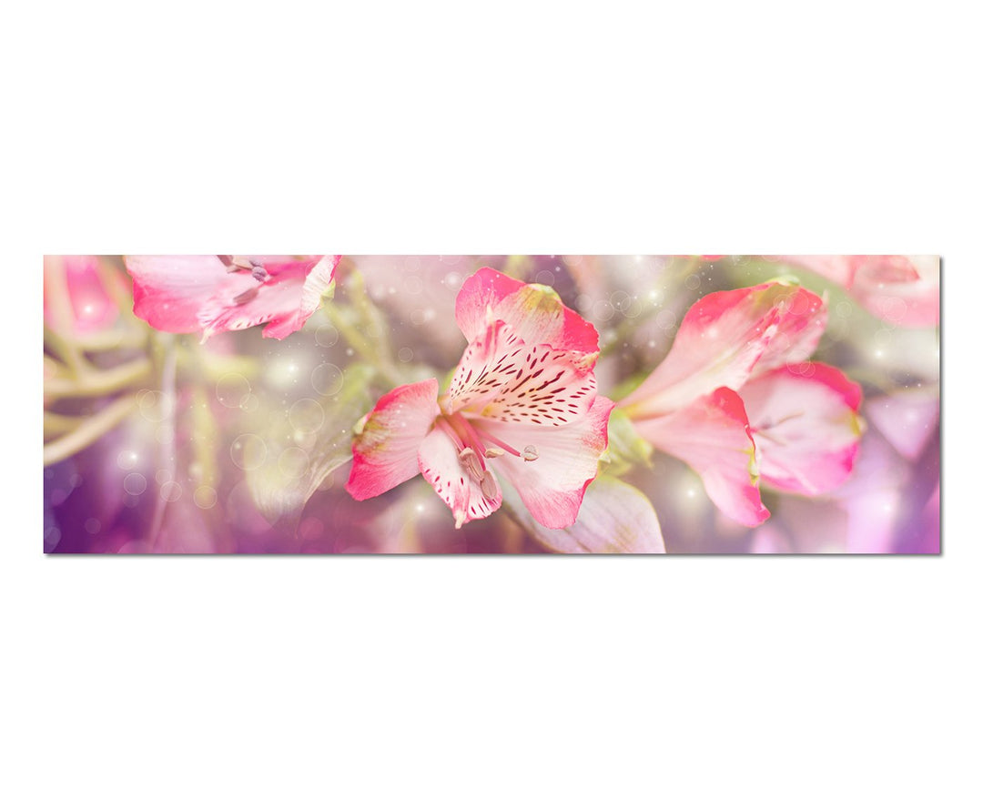 Paul Sinus Art Panoramabild auf Leinwand und Keilrahmen 150x50cm Blumen Farbfilter rosa pink