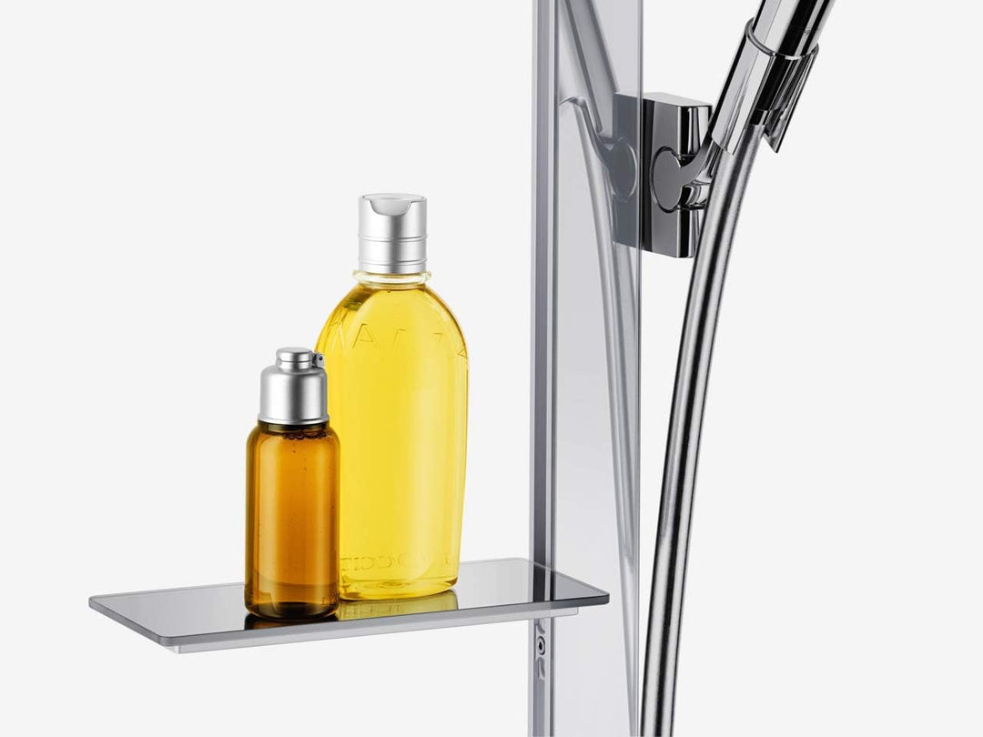 hansgrohe wassersparendes Duschsystem (Duschkopf, Schlauch, Duschstange, Raindance Select S 120 Rege