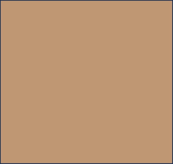 Dr. Hauschka - Foundation 06 Walnut