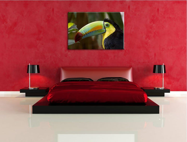 Pixxprint schöner Tukan auf Leinwand, XXL riesige Bilder fertig gerahmt mit Keilrahmen, Kunstdruck a