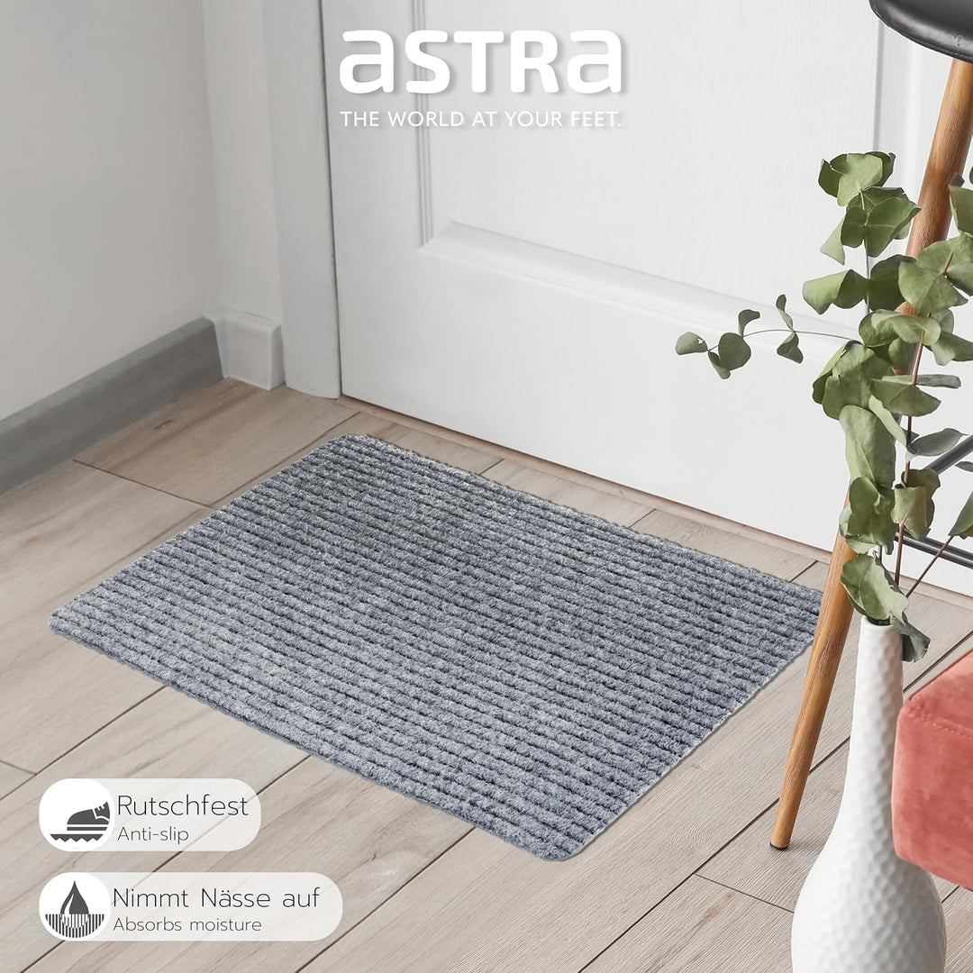 Astra Fussmatte innen Silber Schmutzfangmatte rutschfest – Türmatte 40x60 cm wasserabweisend – Rib L
