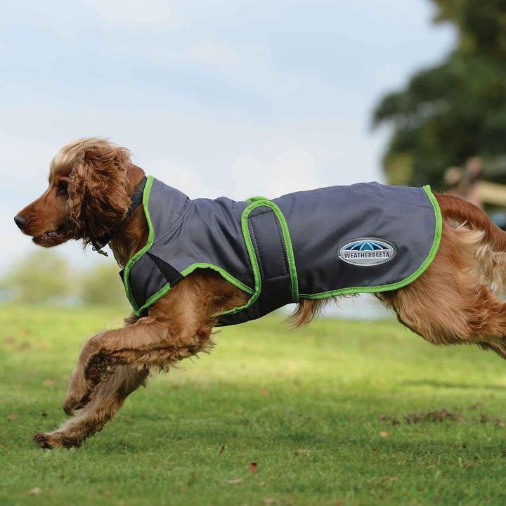 WeatherBeeta Hundemantel ComFiTec Windbreaker Free - 75 cm - Dunkelblau-Silber 30" Dunkelblau/grau/w