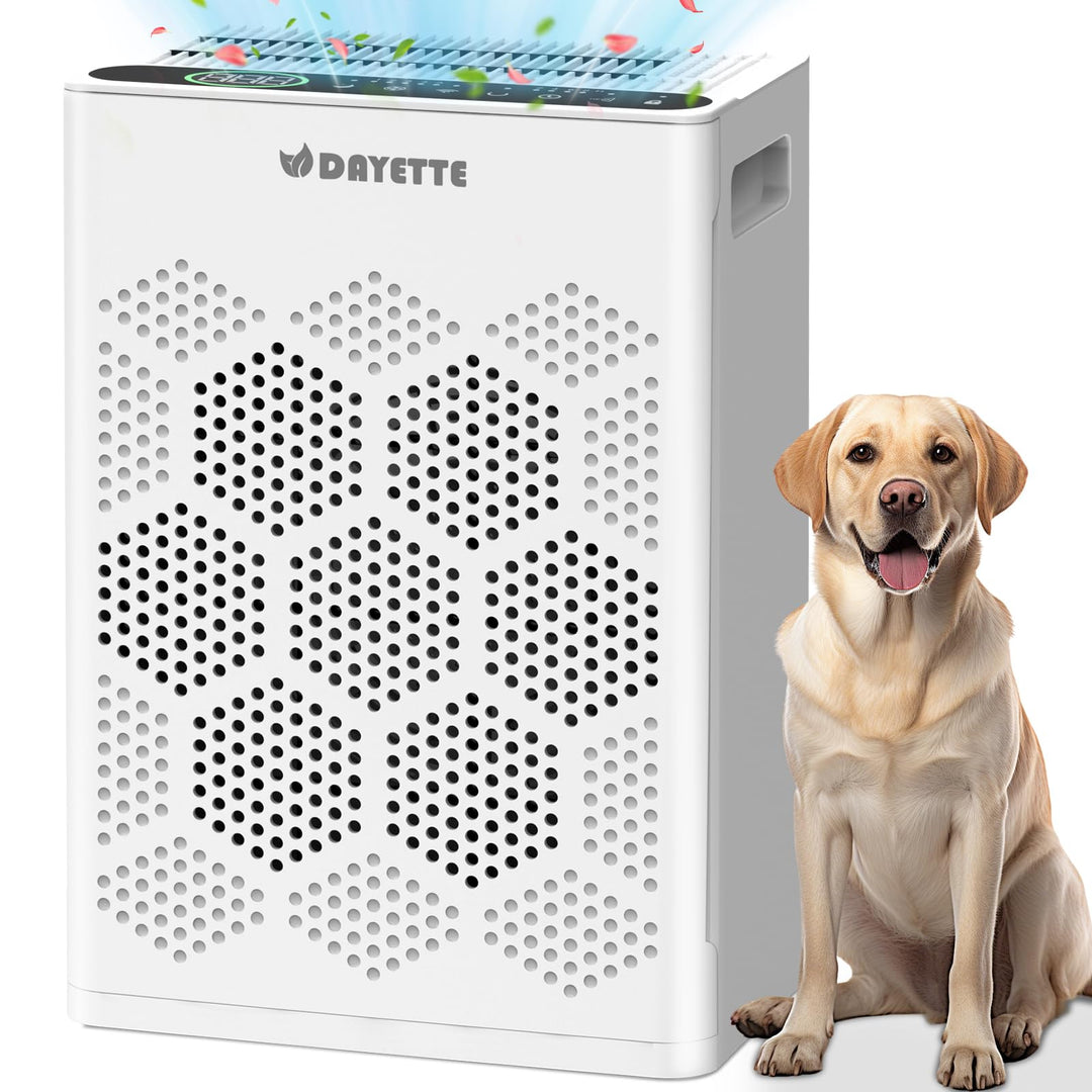 Luftreiniger für Allergiker und Raucherzimmer, HEPA H14 Filter mit waschbarem Vorfilter gegen Staub,