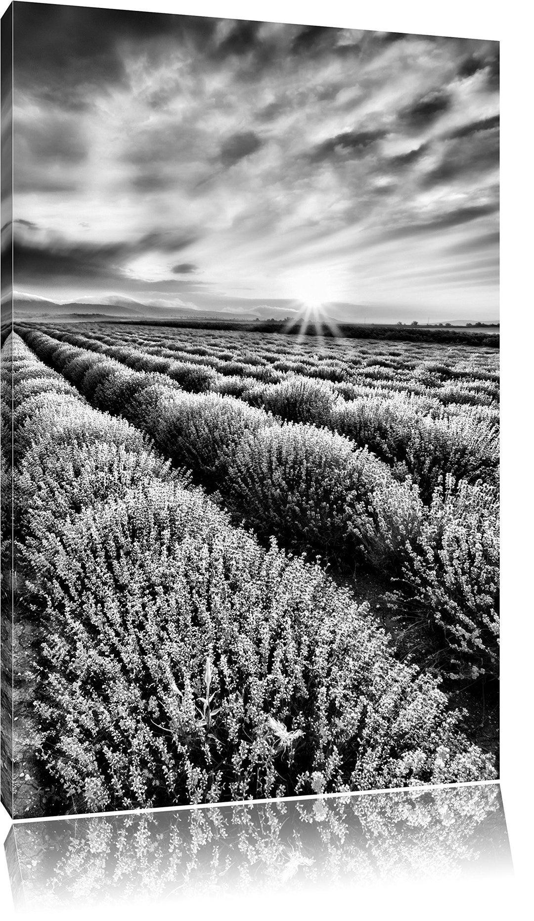 Pixxprint Traumhafte Lavendel Provence / 100x70cm Leinwandbild bespannt auf Holzrahmen/Wandbild Kuns