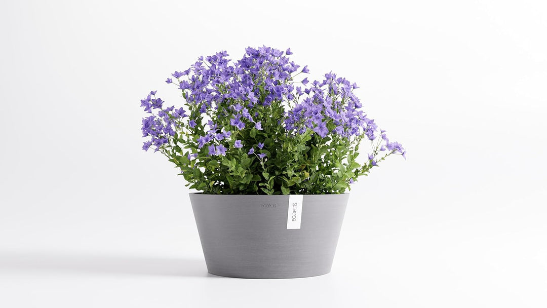 Ecopots Christbaumständer mit Wasserspeicher für Bäume bis 3,00 m Baumhöhe umkippsicher - Tannenbaum