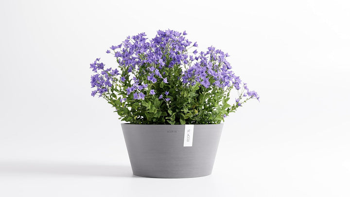 Ecopots Christbaumständer mit Wasserspeicher für Bäume bis 3,00 m Baumhöhe umkippsicher - Tannenbaum