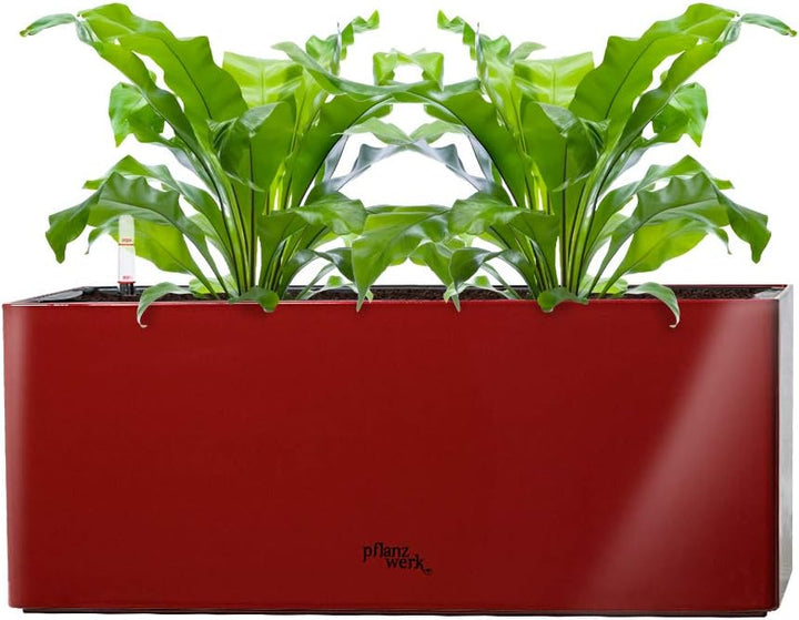 Pflanzwerk® ÖKOSYSTEM Pflanzkübel TUB - Blumentöpfe Übertöpfe mit BEWÄSSERUNGSSYSTEM - 20x50x20cm Sh