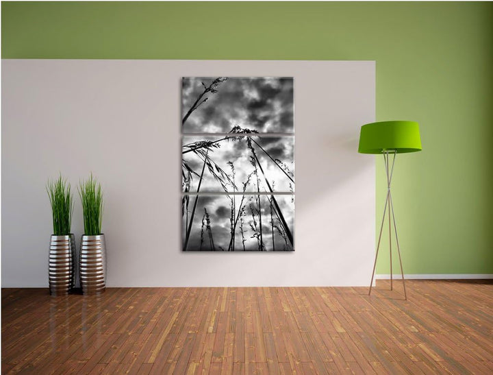 Pixxprint Monocrome, Grashalme mit dunklem Himmel 3-Teiler Leinwandbild 120x80 Bild auf Leinwand
