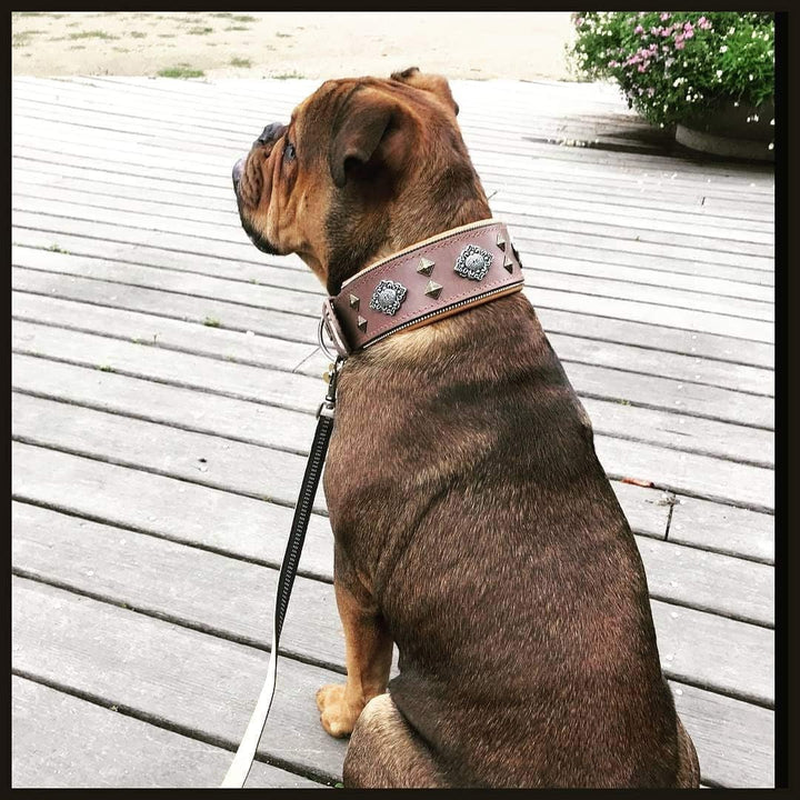 Bestia™ "Aztec Hundehalsband für grosse Hunde. 100% Leder. Weich gepolstert. 6,3 cm breit. Einzigart