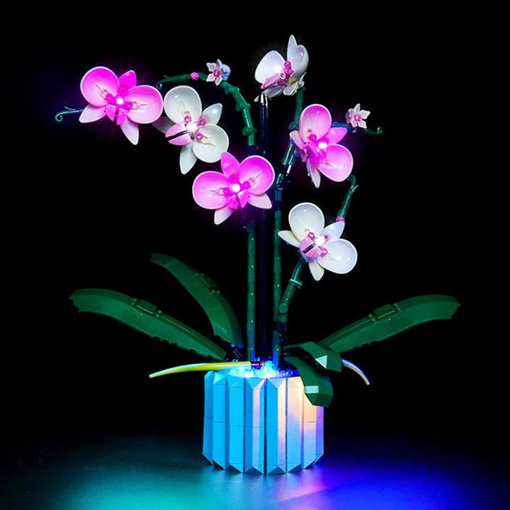 Led Licht Set für Lego 10311 Icons Orchidee Set（Kein Lego-Modell enthalten, BrickBling DIY Beleuchtu