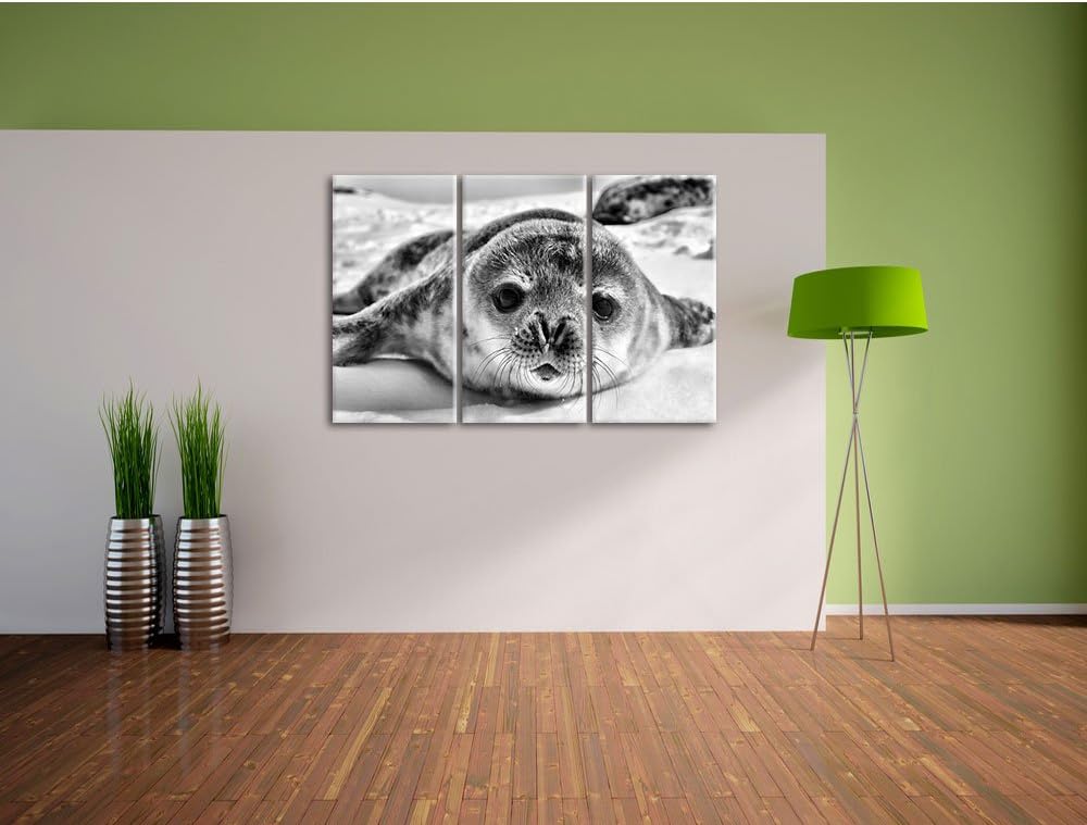 Pixxprint Monocrome, Süsses Robben Baby 3-Teiler Leinwandbild 120x80 Bild auf Leinwand