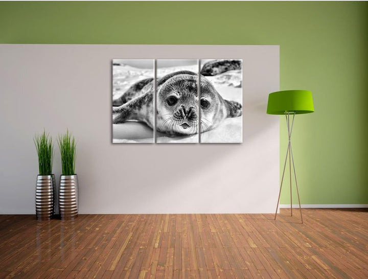 Pixxprint Monocrome, Süsses Robben Baby 3-Teiler Leinwandbild 120x80 Bild auf Leinwand