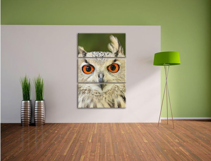 Pixxprint Eulen Kautz Orange Augen als Leinwandbild/Grösse: 3 Teilig (120x80) cm/Wandbild/Kunstdruck