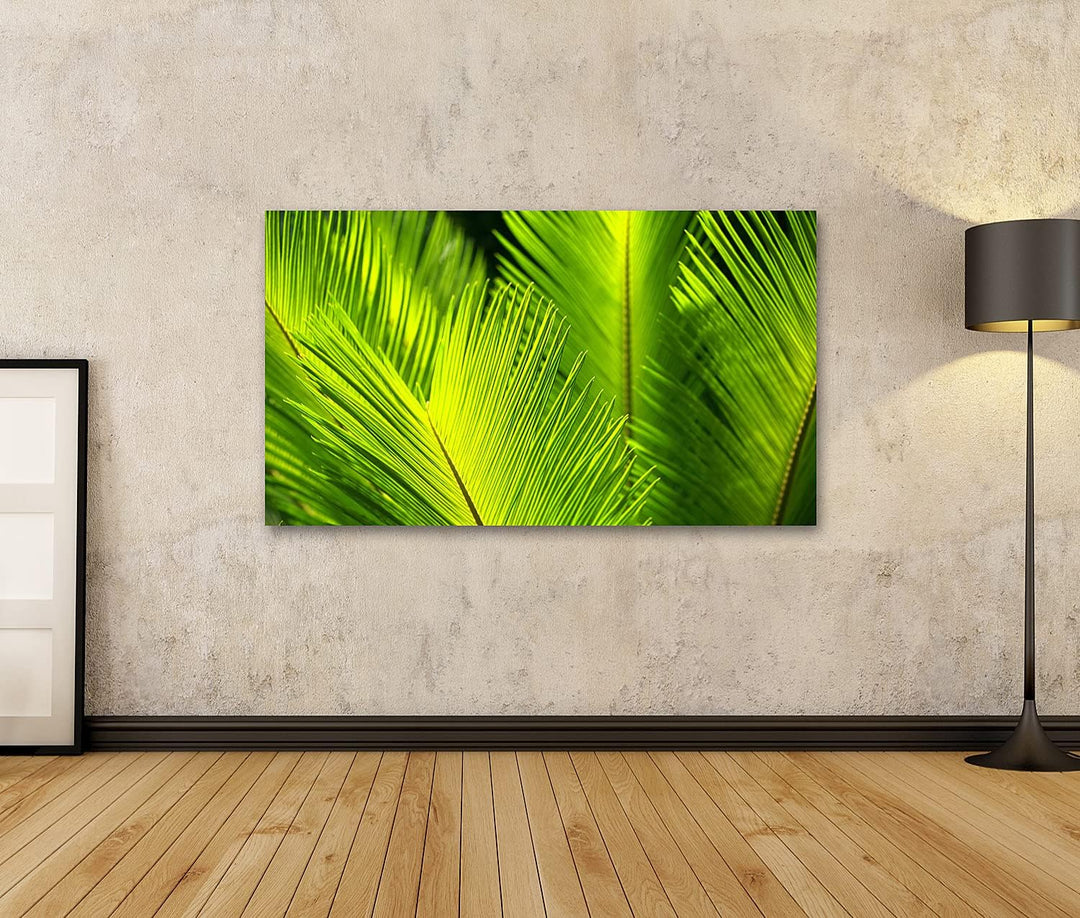 islandburner Bild auf Leinwand Grüne Palme Blätter Bilder Wandbilder Poster Leinwand 100x57cm, Leinw